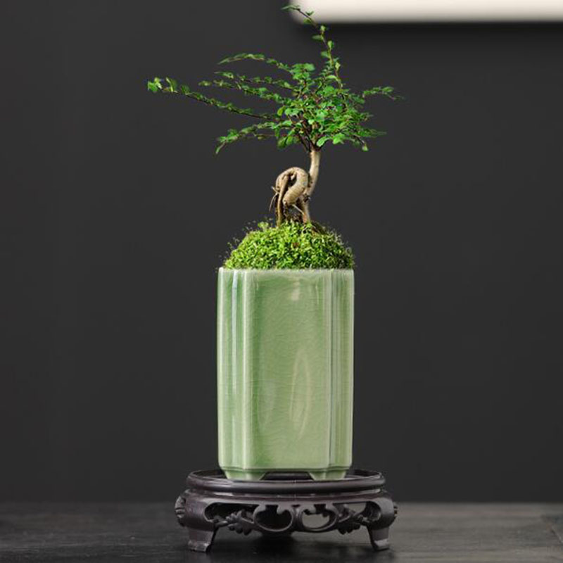 Bonsai Garden Art - Фарфоровый квадратный цветочный горшок с глазурованной