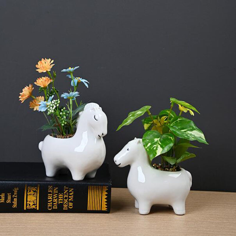 Bonsai Garden Art - Белый фарфоровый креативный цветочный горшок в